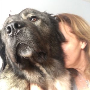 Meet your Posher, Jill